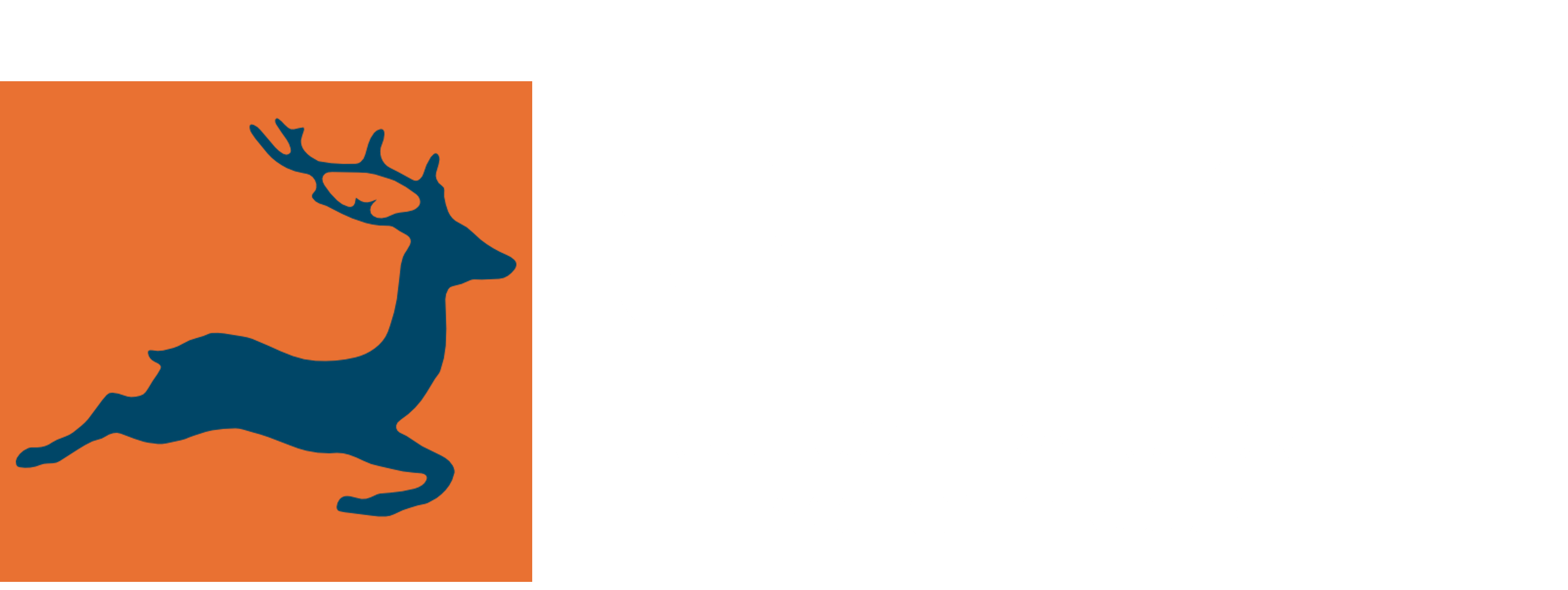 STAG Logo